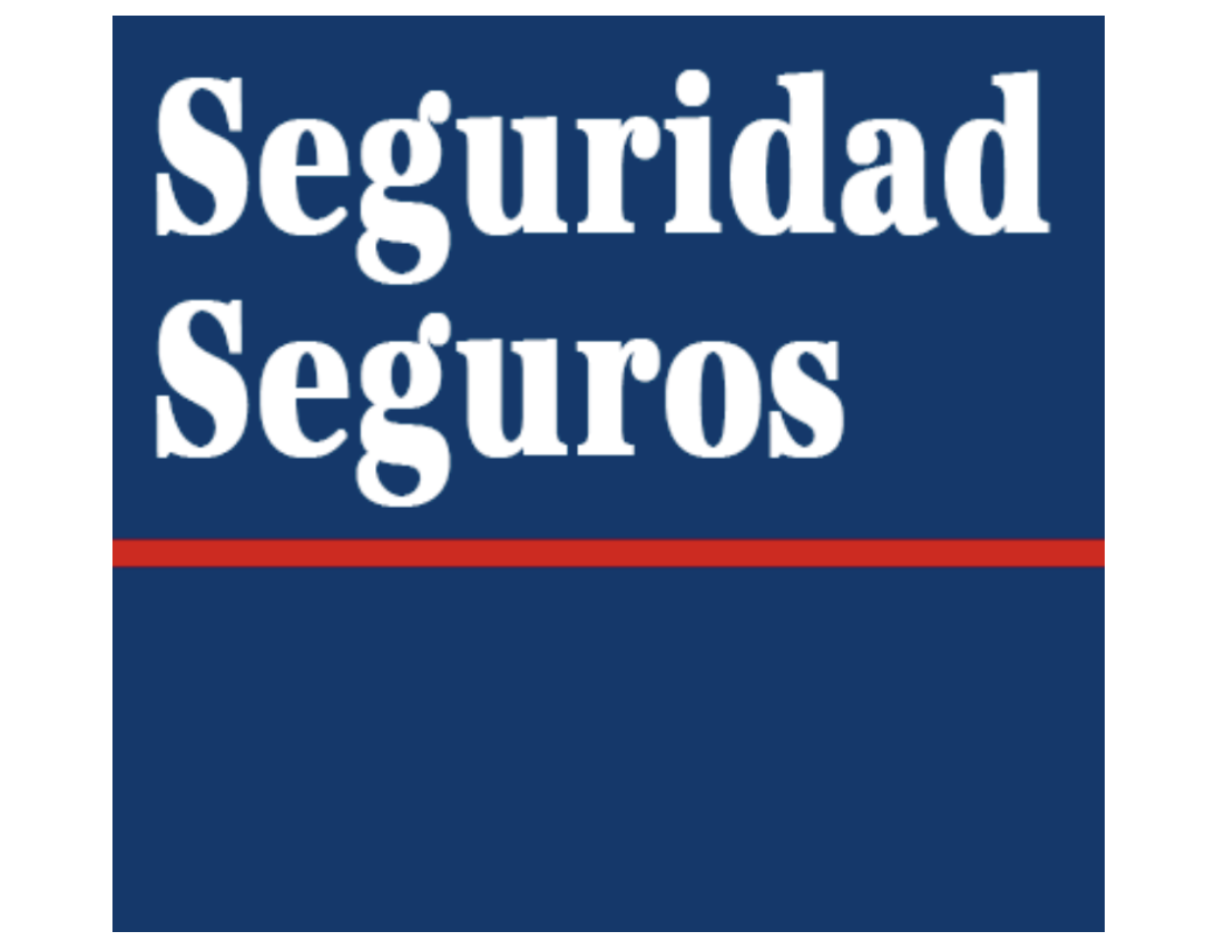 Seguridad Seguros
