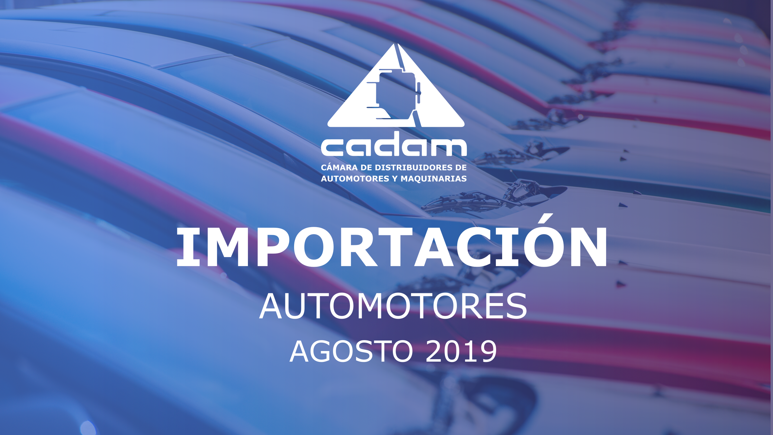 Casi 20 mil vehículos nuevos ingresaron al país hasta agosto