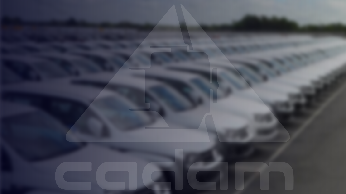 Empresas Asociadas a Cadam se mantienen entre las principales aportantes al Estado