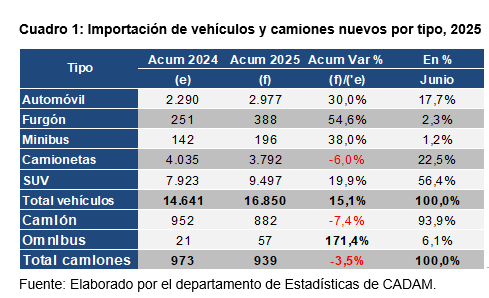 Importaciones del sector automotor crecen 15,1 %  en el primer semestre de 2025